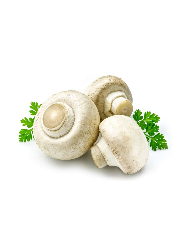 button-mushroom