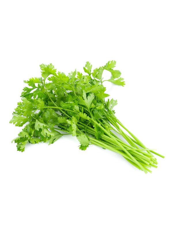 coriander_1055310968-600x600_922299551