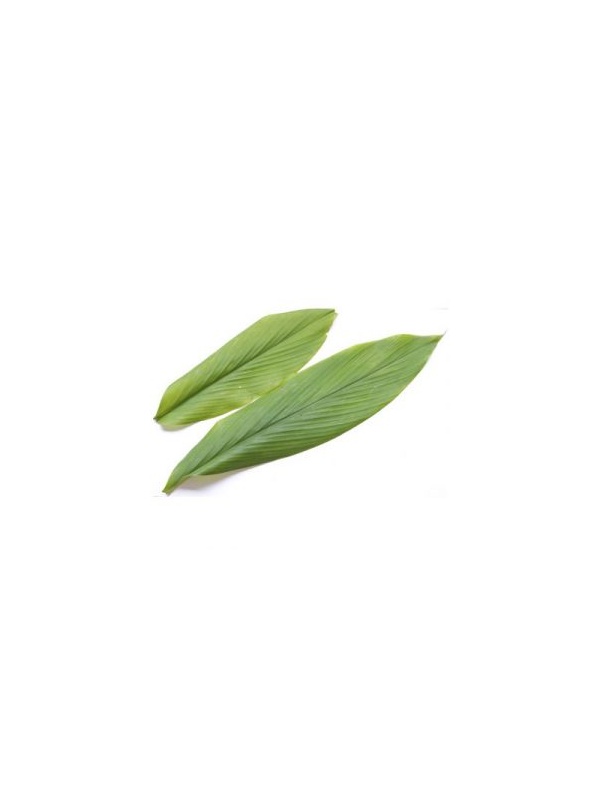 daun-kunyit-1_1799914683