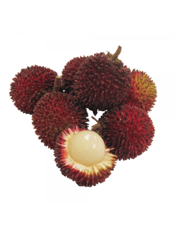 download-free-png-pulasan-fruit-dlpngcom-pulasan-png-800_728