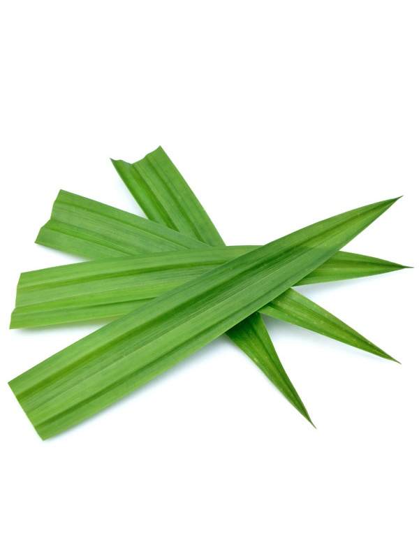 e50bc7c90ee2d9c30e28ab2fd7fcc5d5_980425876