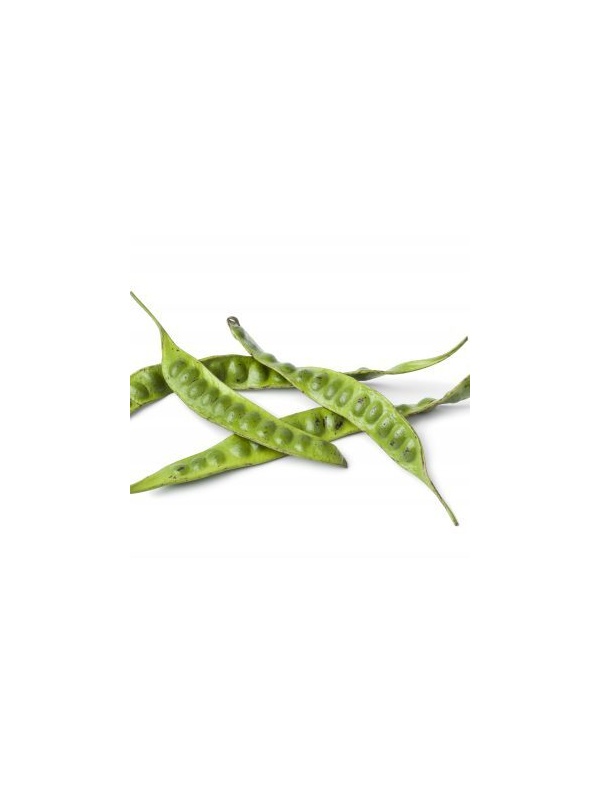 fresh-petai-beans-pmnyhje-scaled-1-e1607622695138_651709806