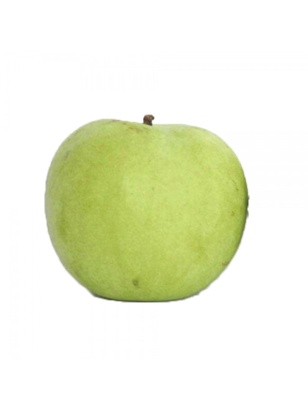 green-diamond-pear-beautiful-sweet_1762222059