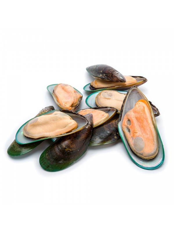 green_shell_mussel