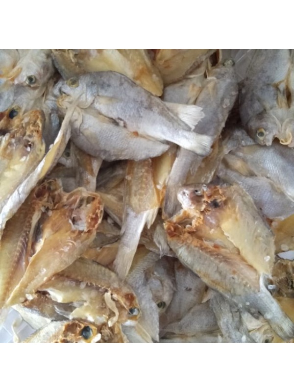ikan_anak_gelama_100gm