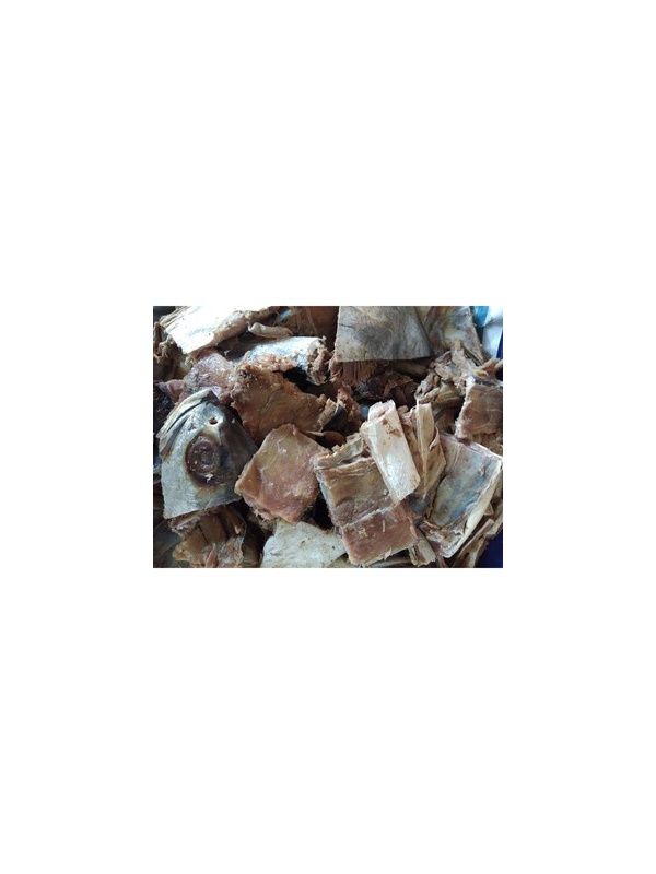 ikan_talang_100gm