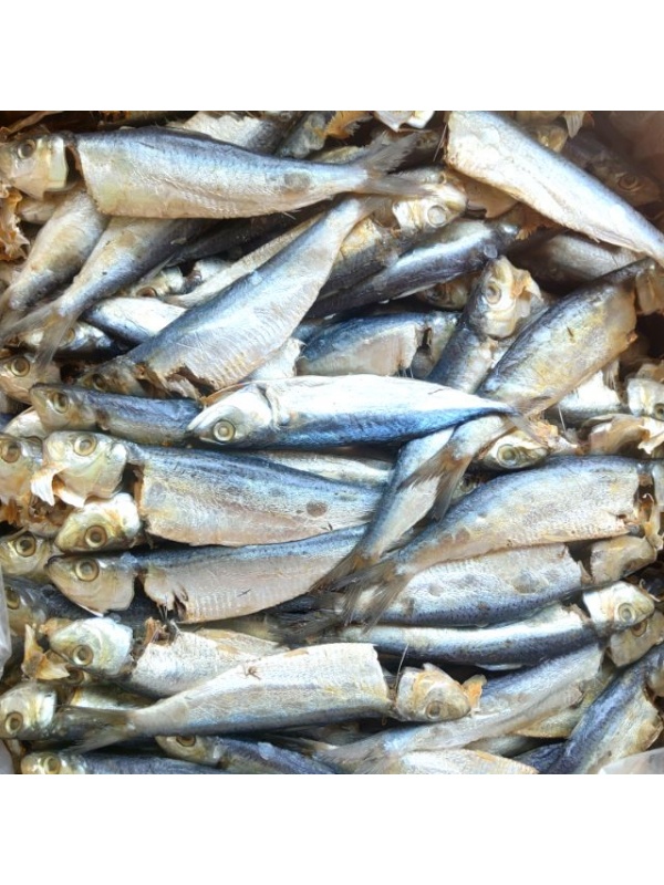ikan_tamban_besar_100gm