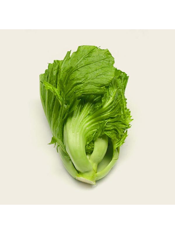 kai-choy_524413843