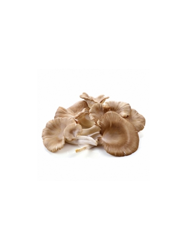 oyster-mushroom-200g_1532507795
