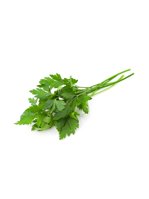 parsley_325374716
