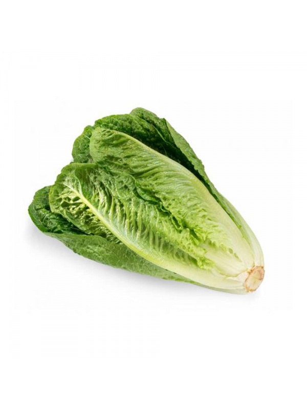 qtf_lettuce_romaine_image_2