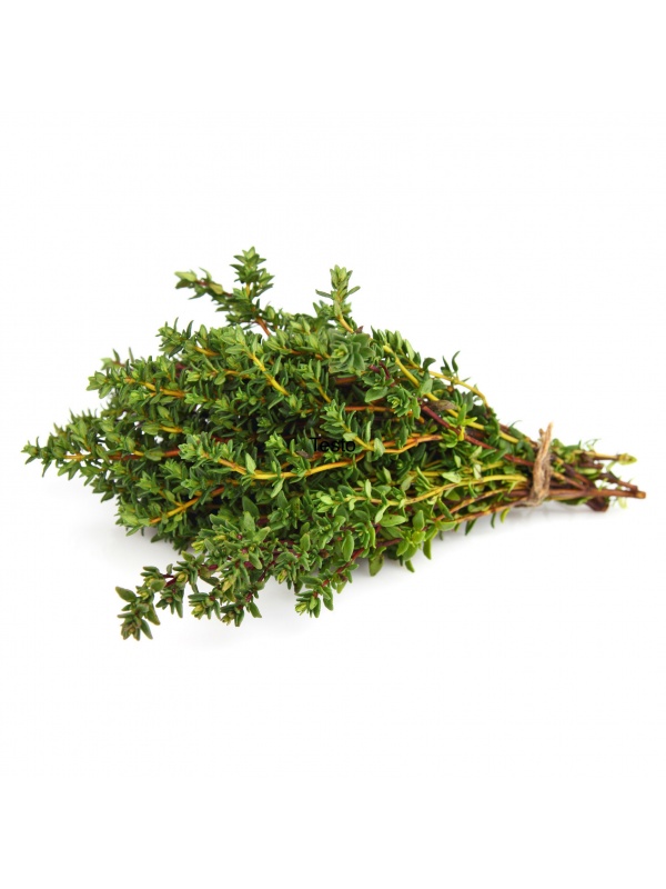 thyme