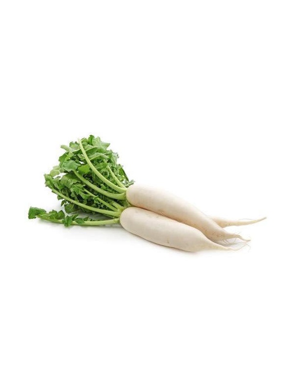white-radish_498336129