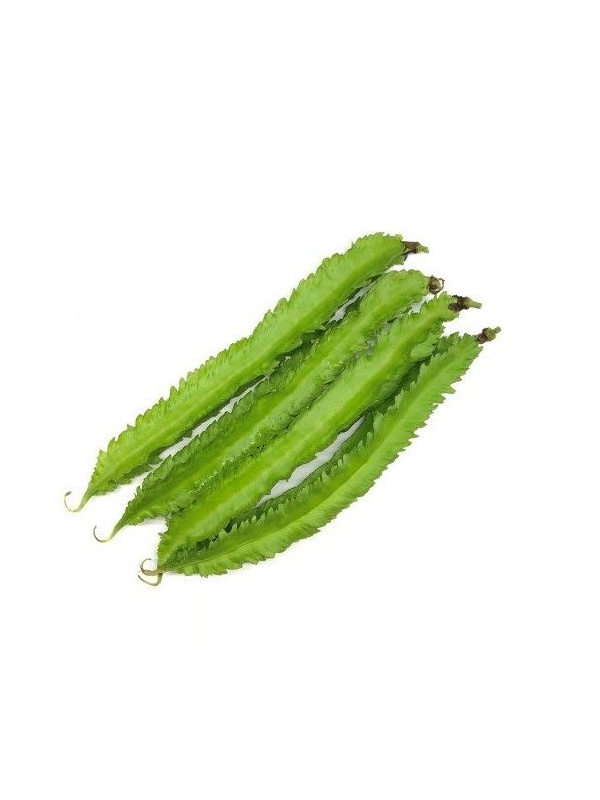wing-bean-seeds-custom-e1526102257864